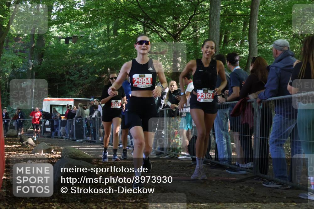 28.09.2025 - 33. Volkslauf durch das schöne Alstertal Strokosch-Dieckow http://msf.ph/oto/8973930 28.09.2025 12:26:32 Ziel 2335, 2392, 2994, 2997 meine-sportfotos.de