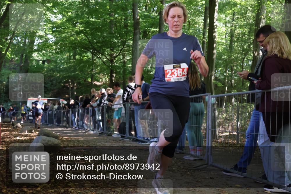 28.09.2025 - 33. Volkslauf durch das schöne Alstertal Strokosch-Dieckow http://msf.ph/oto/8973942 28.09.2025 12:26:44 Ziel 2208, 2364 meine-sportfotos.de