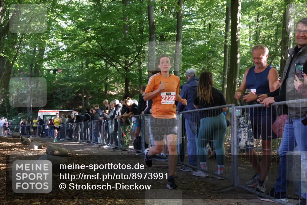 28.09.2025 - 33. Volkslauf durch das schöne Alstertal Strokosch-Dieckow http://msf.ph/oto/8973991 28.09.2025 12:28:19 Ziel 2128, 2222, 2469 meine-sportfotos.de