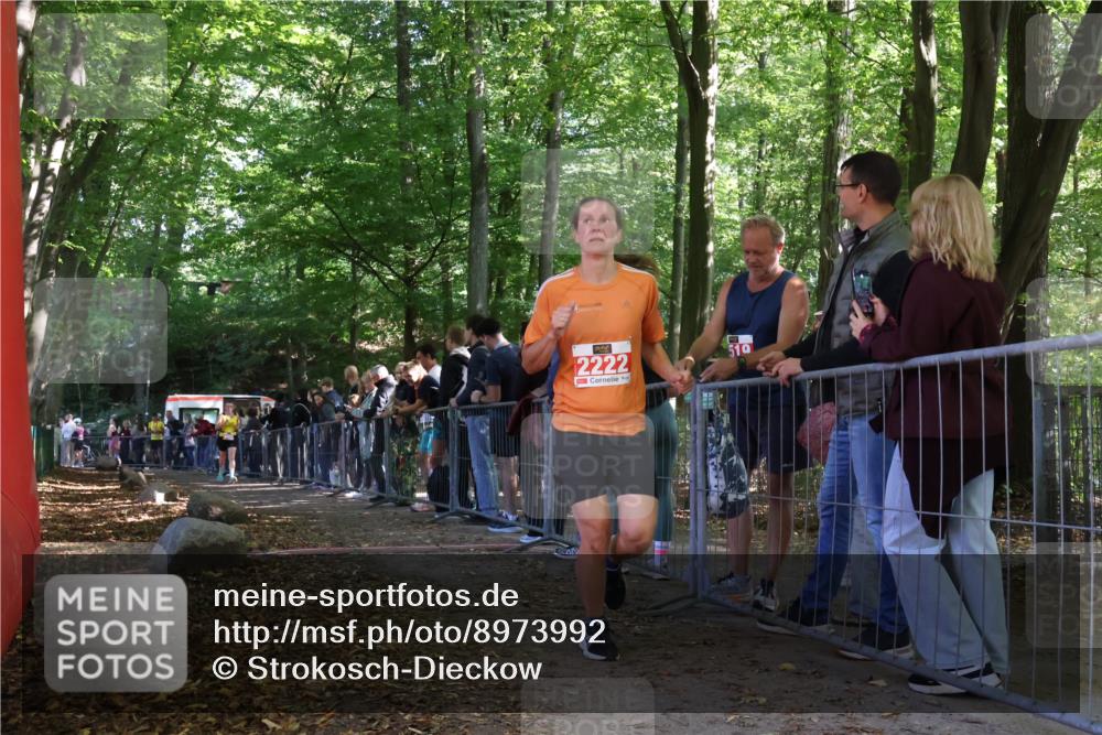 28.09.2025 - 33. Volkslauf durch das schöne Alstertal Strokosch-Dieckow http://msf.ph/oto/8973992 28.09.2025 12:28:19 Ziel 2128, 2222, 2469 meine-sportfotos.de
