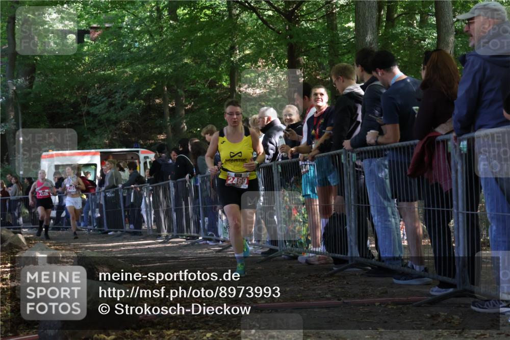 28.09.2025 - 33. Volkslauf durch das schöne Alstertal Strokosch-Dieckow http://msf.ph/oto/8973993 28.09.2025 12:28:23 Ziel 2128, 2469 meine-sportfotos.de