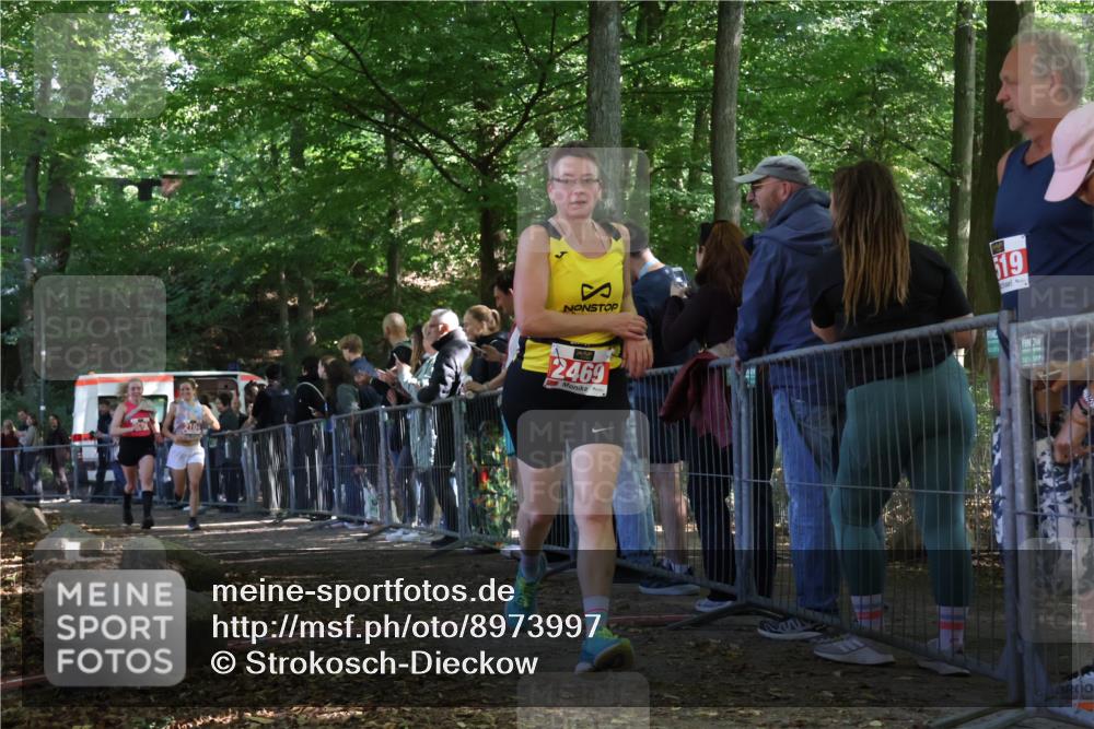 28.09.2025 - 33. Volkslauf durch das schöne Alstertal Strokosch-Dieckow http://msf.ph/oto/8973997 28.09.2025 12:28:25 Ziel 2128, 2469 meine-sportfotos.de