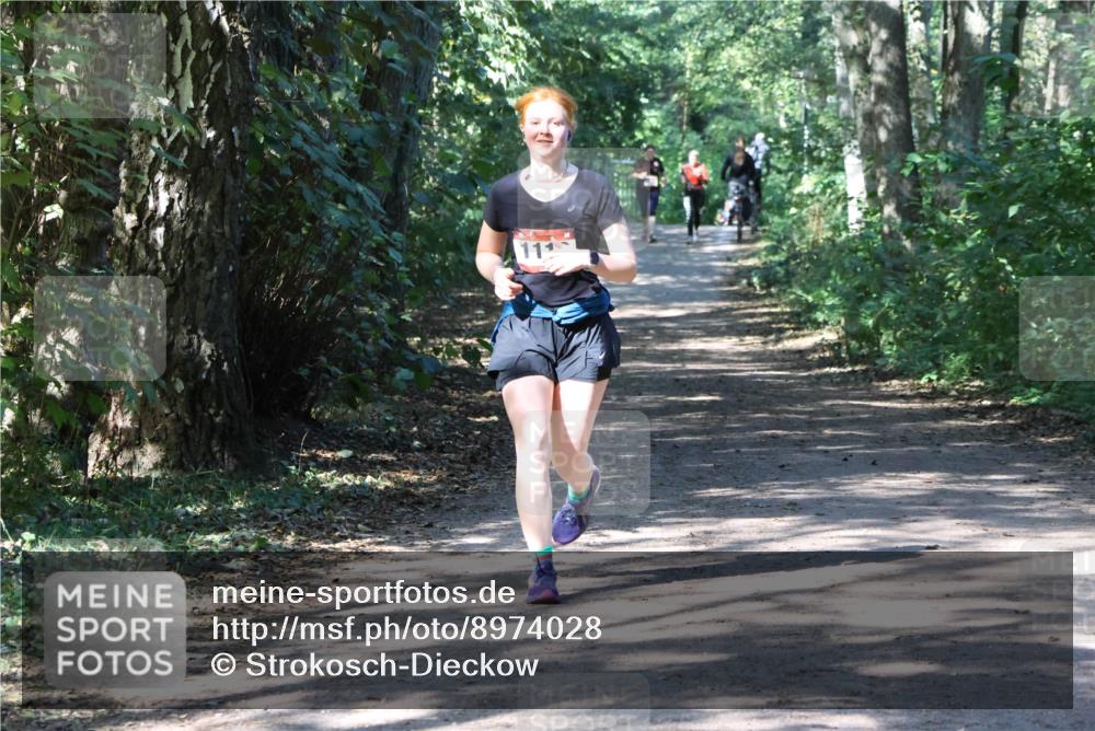 28.09.2025 - 33. Volkslauf durch das schöne Alstertal Strokosch-Dieckow http://msf.ph/oto/8974028 28.09.2025 12:33:57 Laufen 11 meine-sportfotos.de