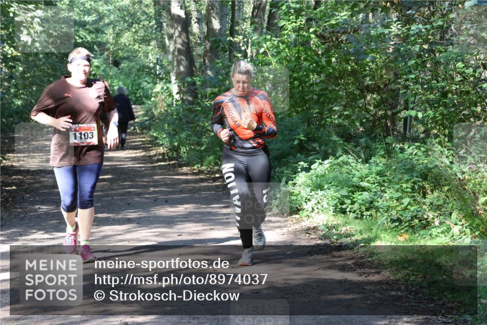 28.09.2025 - 33. Volkslauf durch das schöne Alstertal Strokosch-Dieckow http://msf.ph/oto/8974037 28.09.2025 12:34:24 Laufen 1103 meine-sportfotos.de