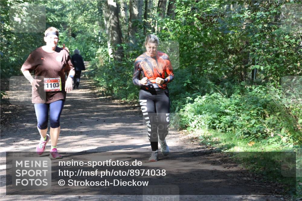 28.09.2025 - 33. Volkslauf durch das schöne Alstertal Strokosch-Dieckow http://msf.ph/oto/8974038 28.09.2025 12:34:25 Laufen 1103 meine-sportfotos.de