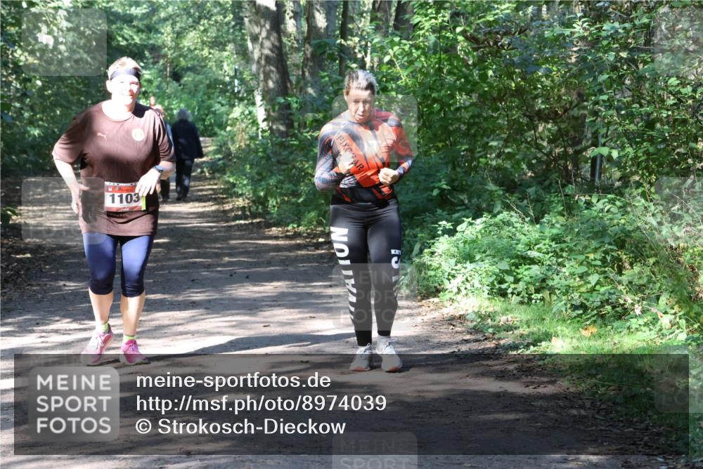 28.09.2025 - 33. Volkslauf durch das schöne Alstertal Strokosch-Dieckow http://msf.ph/oto/8974039 28.09.2025 12:34:25 Laufen 1103 meine-sportfotos.de