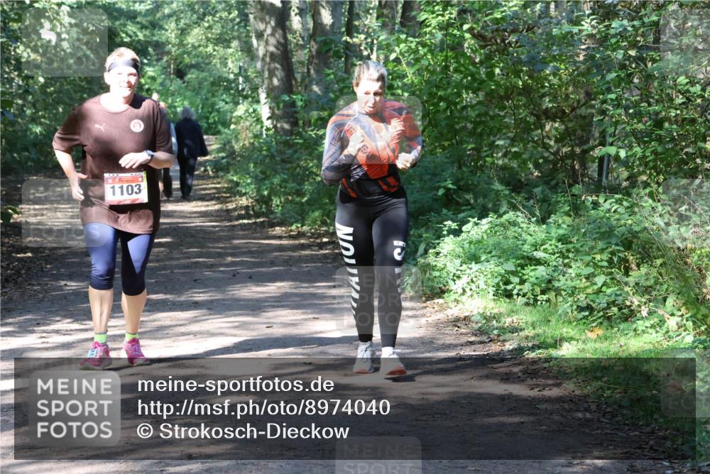 28.09.2025 - 33. Volkslauf durch das schöne Alstertal Strokosch-Dieckow http://msf.ph/oto/8974040 28.09.2025 12:34:25 Laufen 1103 meine-sportfotos.de
