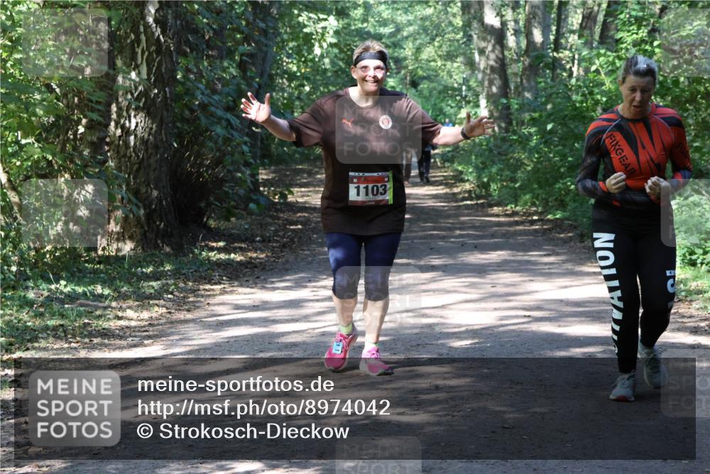 28.09.2025 - 33. Volkslauf durch das schöne Alstertal Strokosch-Dieckow http://msf.ph/oto/8974042 28.09.2025 12:34:26 Laufen 1103 meine-sportfotos.de