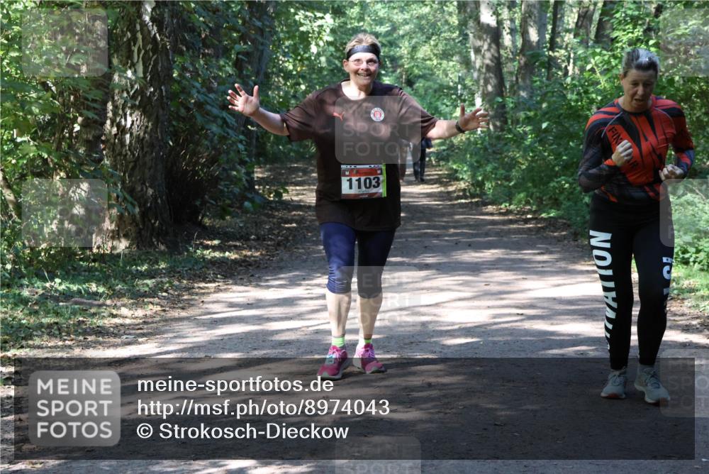 28.09.2025 - 33. Volkslauf durch das schöne Alstertal Strokosch-Dieckow http://msf.ph/oto/8974043 28.09.2025 12:34:26 Laufen 1103 meine-sportfotos.de