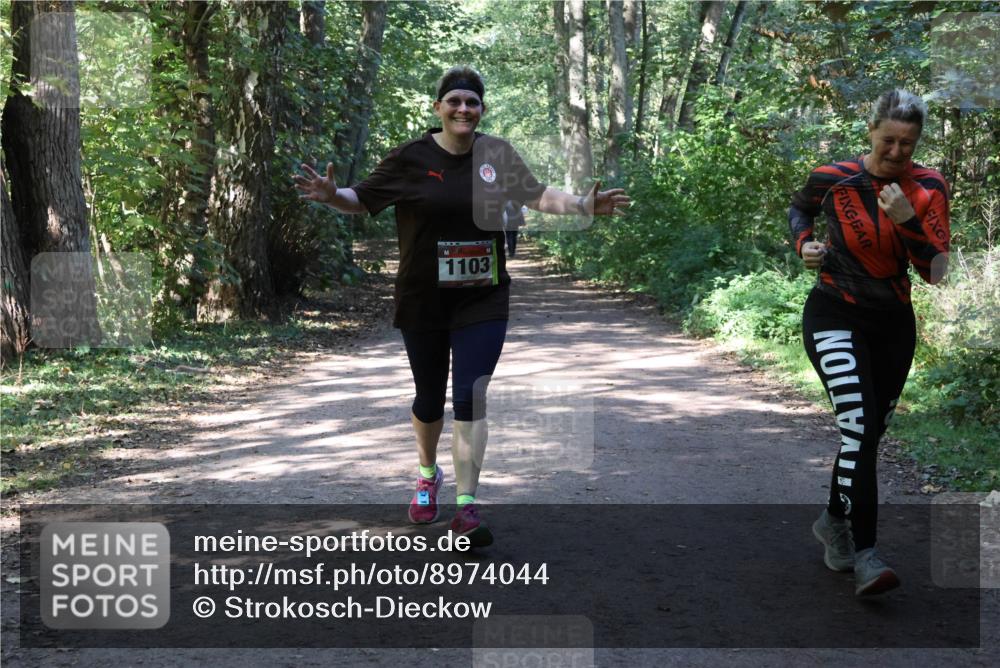 28.09.2025 - 33. Volkslauf durch das schöne Alstertal Strokosch-Dieckow http://msf.ph/oto/8974044 28.09.2025 12:34:27 Laufen 1103 meine-sportfotos.de
