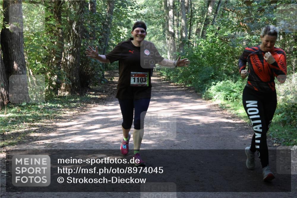 28.09.2025 - 33. Volkslauf durch das schöne Alstertal Strokosch-Dieckow http://msf.ph/oto/8974045 28.09.2025 12:34:27 Laufen 1103 meine-sportfotos.de