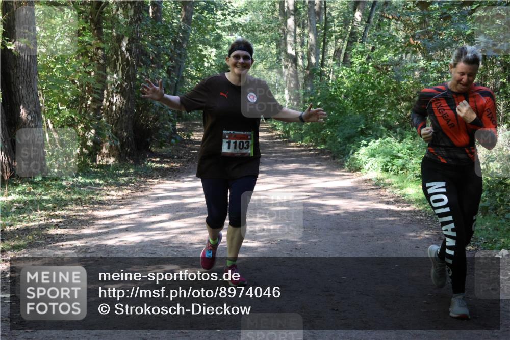 28.09.2025 - 33. Volkslauf durch das schöne Alstertal Strokosch-Dieckow http://msf.ph/oto/8974046 28.09.2025 12:34:27 Laufen 1103 meine-sportfotos.de