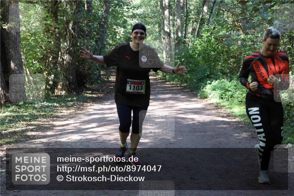28.09.2025 - 33. Volkslauf durch das schöne Alstertal Strokosch-Dieckow http://msf.ph/oto/8974047 28.09.2025 12:34:28 Laufen 1103 meine-sportfotos.de