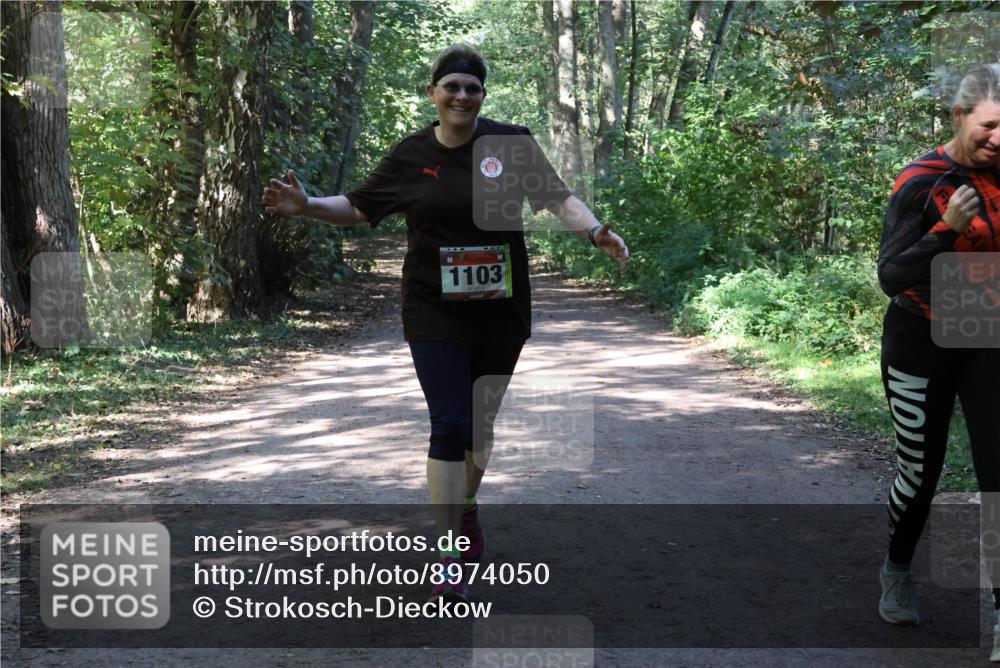 28.09.2025 - 33. Volkslauf durch das schöne Alstertal Strokosch-Dieckow http://msf.ph/oto/8974050 28.09.2025 12:34:28 Laufen 1103 meine-sportfotos.de