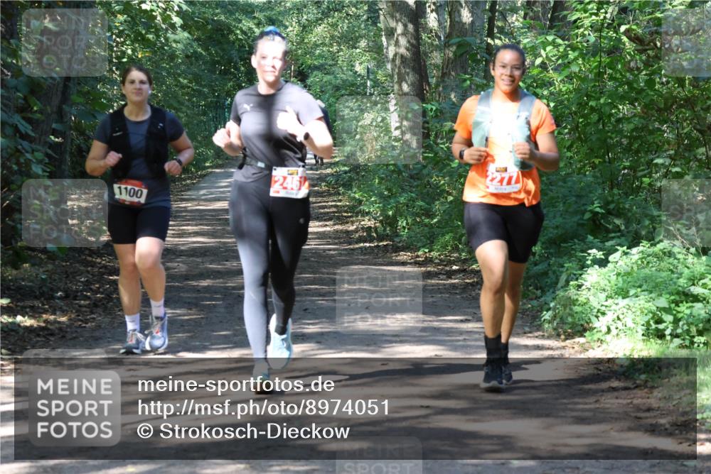 28.09.2025 - 33. Volkslauf durch das schöne Alstertal Strokosch-Dieckow http://msf.ph/oto/8974051 28.09.2025 12:34:42 Laufen 1100, 246 meine-sportfotos.de