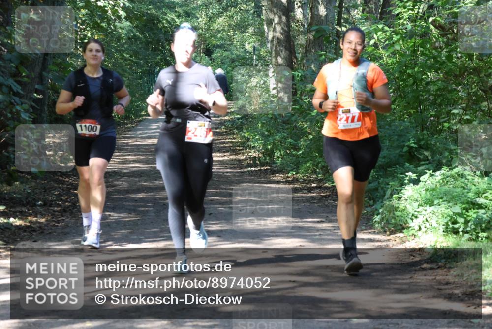 28.09.2025 - 33. Volkslauf durch das schöne Alstertal Strokosch-Dieckow http://msf.ph/oto/8974052 28.09.2025 12:34:42 Laufen 1100, 245, 277 meine-sportfotos.de