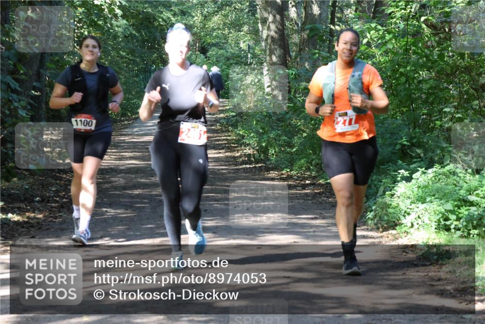 28.09.2025 - 33. Volkslauf durch das schöne Alstertal Strokosch-Dieckow http://msf.ph/oto/8974053 28.09.2025 12:34:42 Laufen 2277, 1100, 2451 meine-sportfotos.de