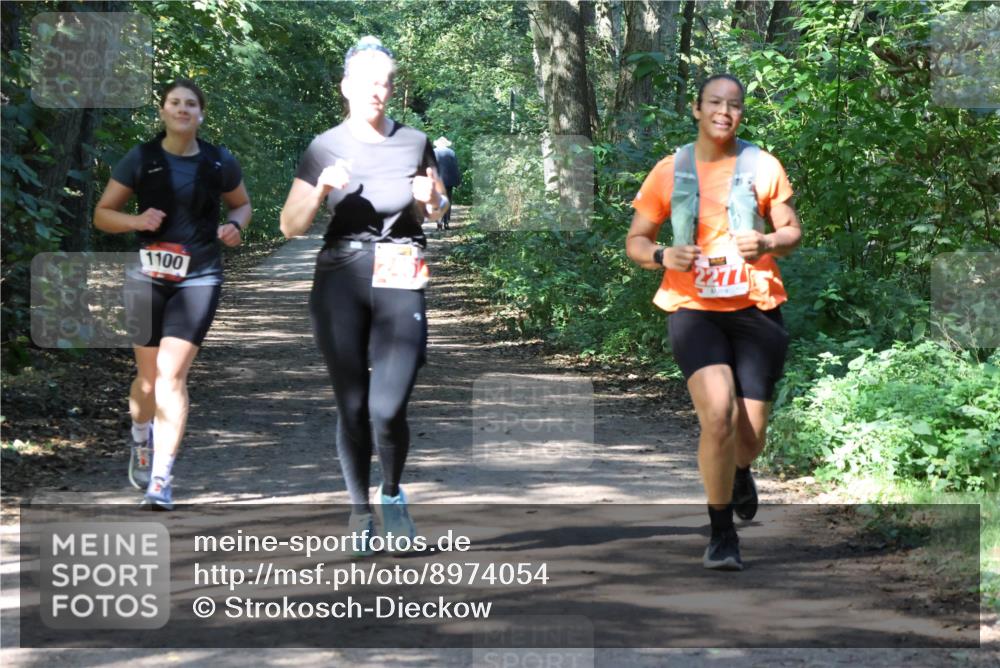 28.09.2025 - 33. Volkslauf durch das schöne Alstertal Strokosch-Dieckow http://msf.ph/oto/8974054 28.09.2025 12:34:42 Laufen 1100, 277 meine-sportfotos.de