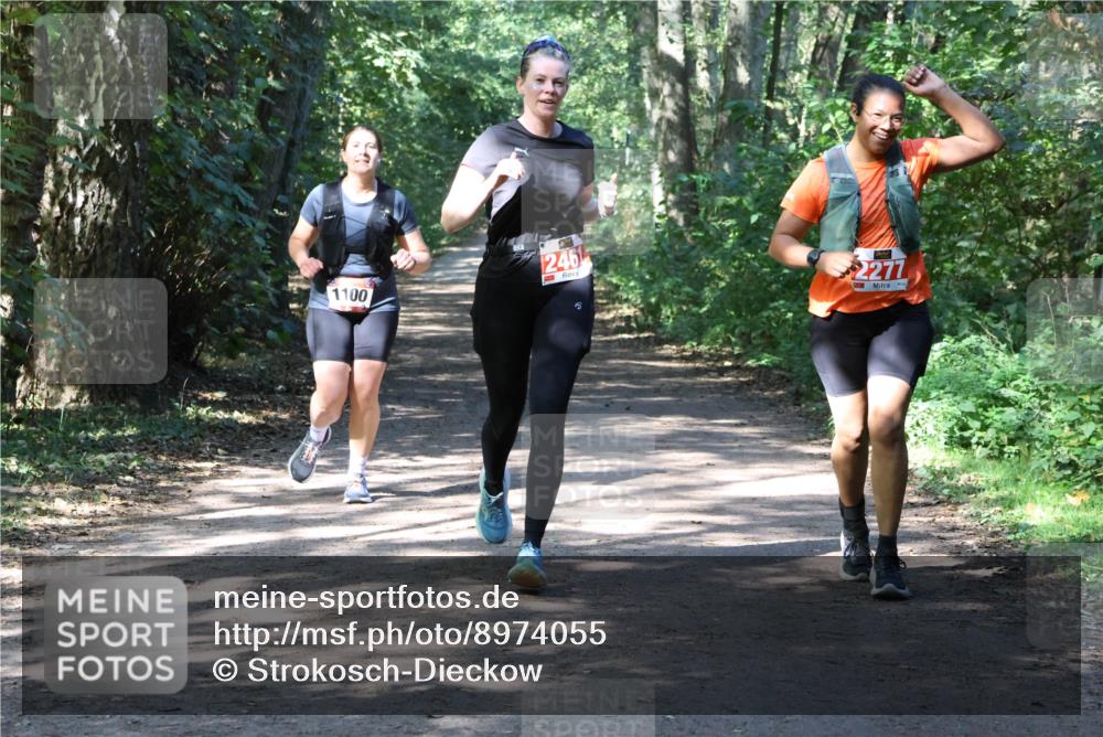 28.09.2025 - 33. Volkslauf durch das schöne Alstertal Strokosch-Dieckow http://msf.ph/oto/8974055 28.09.2025 12:34:43 Laufen 1100, 2461, 2277 meine-sportfotos.de