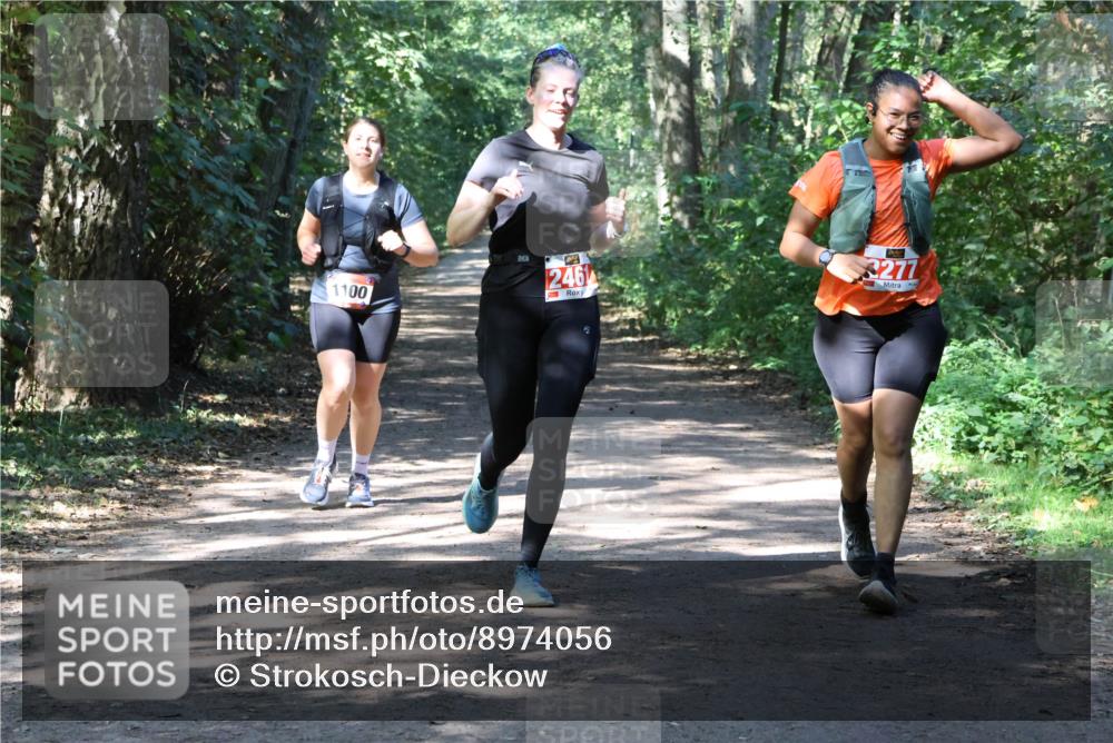 28.09.2025 - 33. Volkslauf durch das schöne Alstertal Strokosch-Dieckow http://msf.ph/oto/8974056 28.09.2025 12:34:43 Laufen 1100, 246, 3277 meine-sportfotos.de