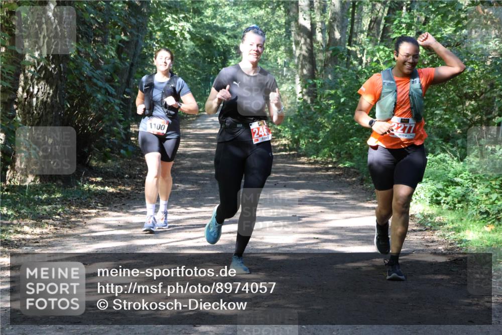28.09.2025 - 33. Volkslauf durch das schöne Alstertal Strokosch-Dieckow http://msf.ph/oto/8974057 28.09.2025 12:34:43 Laufen 1100, 246, 2277 meine-sportfotos.de
