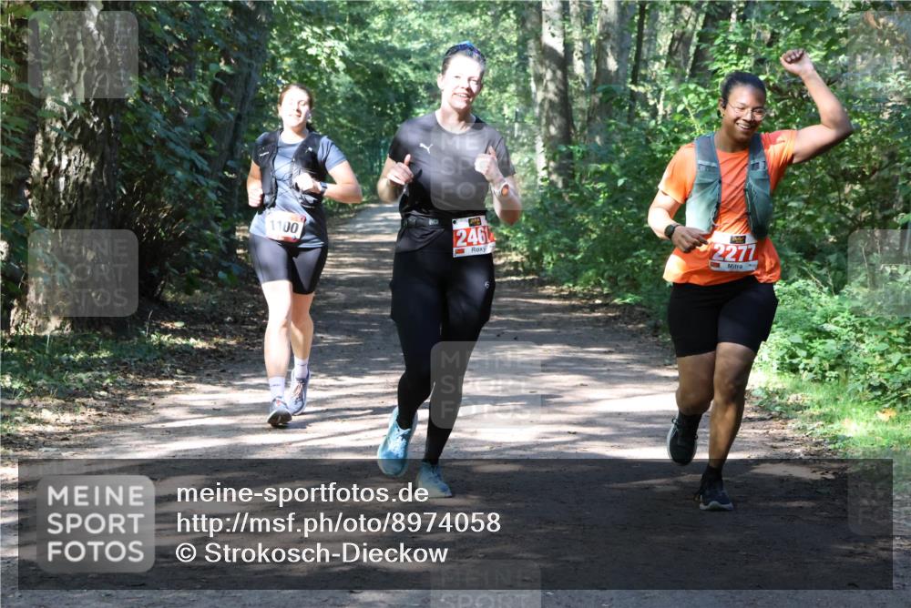 28.09.2025 - 33. Volkslauf durch das schöne Alstertal Strokosch-Dieckow http://msf.ph/oto/8974058 28.09.2025 12:34:43 Laufen 1100, 246, 2277 meine-sportfotos.de