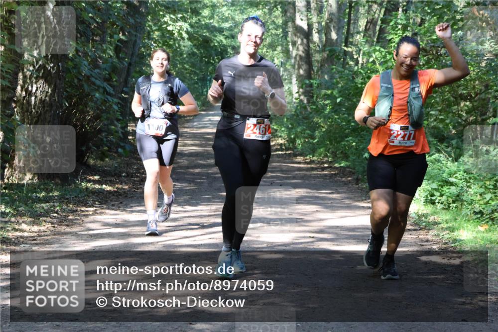 28.09.2025 - 33. Volkslauf durch das schöne Alstertal Strokosch-Dieckow http://msf.ph/oto/8974059 28.09.2025 12:34:43 Laufen 2461, 2277 meine-sportfotos.de