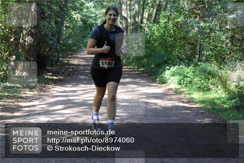 28.09.2025 - 33. Volkslauf durch das schöne Alstertal Strokosch-Dieckow http://msf.ph/oto/8974060 28.09.2025 12:34:46 Laufen 1100 meine-sportfotos.de