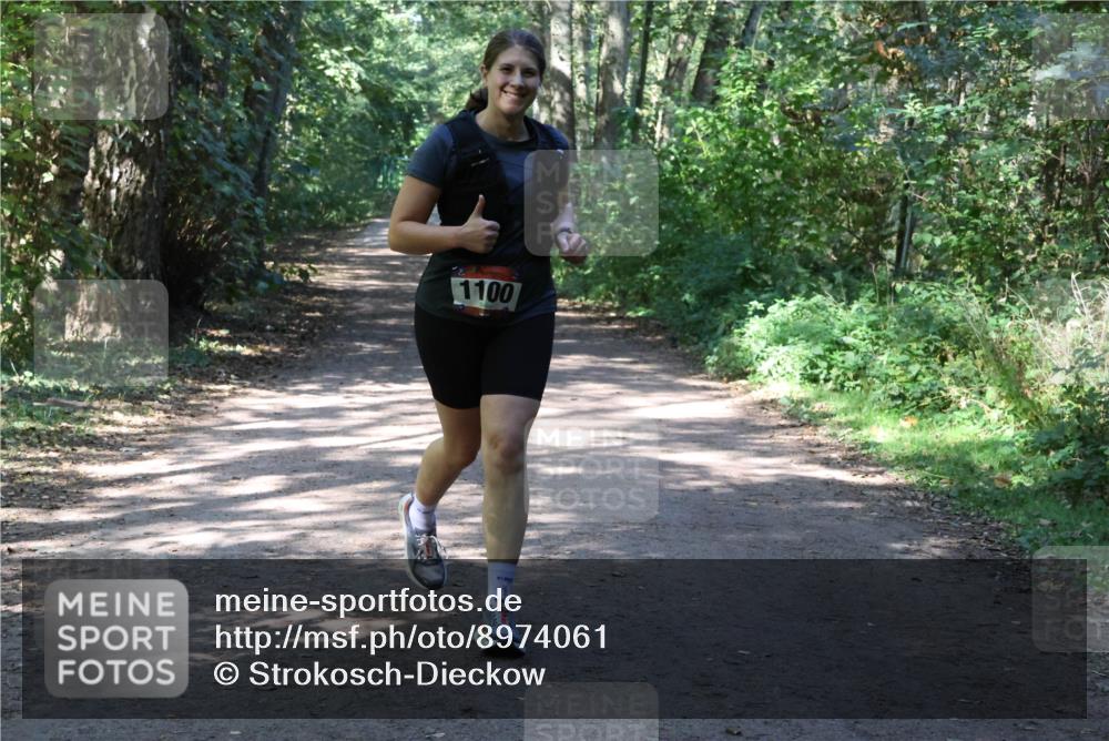 28.09.2025 - 33. Volkslauf durch das schöne Alstertal Strokosch-Dieckow http://msf.ph/oto/8974061 28.09.2025 12:34:46 Laufen 1100 meine-sportfotos.de