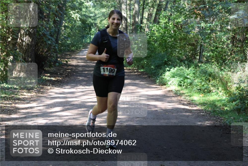 28.09.2025 - 33. Volkslauf durch das schöne Alstertal Strokosch-Dieckow http://msf.ph/oto/8974062 28.09.2025 12:34:46 Laufen 1100 meine-sportfotos.de