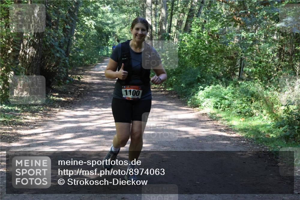 28.09.2025 - 33. Volkslauf durch das schöne Alstertal Strokosch-Dieckow http://msf.ph/oto/8974063 28.09.2025 12:34:46 Laufen 1100 meine-sportfotos.de