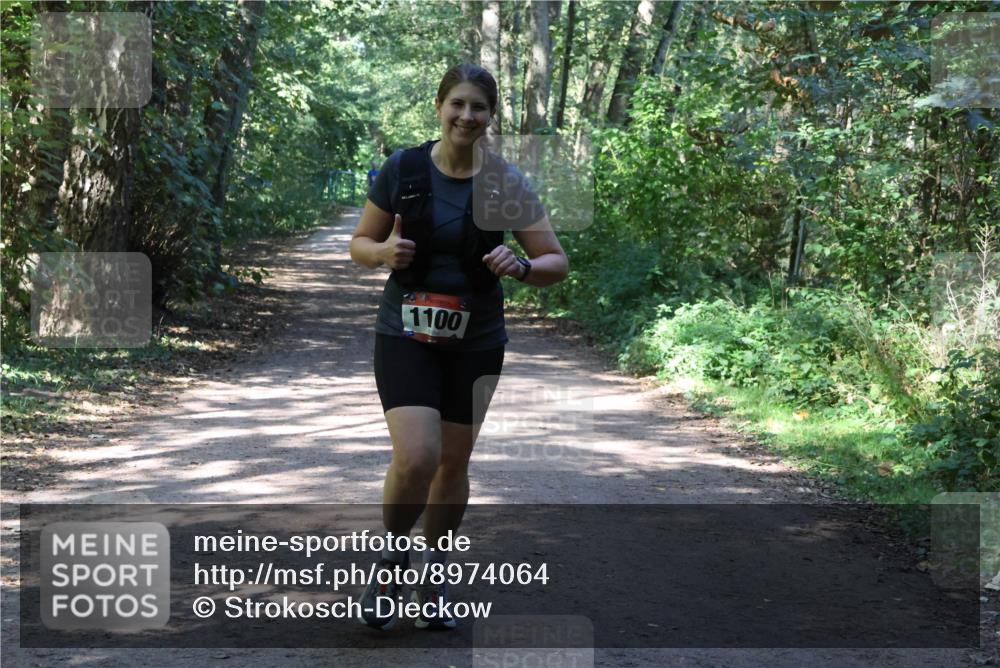 28.09.2025 - 33. Volkslauf durch das schöne Alstertal Strokosch-Dieckow http://msf.ph/oto/8974064 28.09.2025 12:34:46 Laufen 1100 meine-sportfotos.de