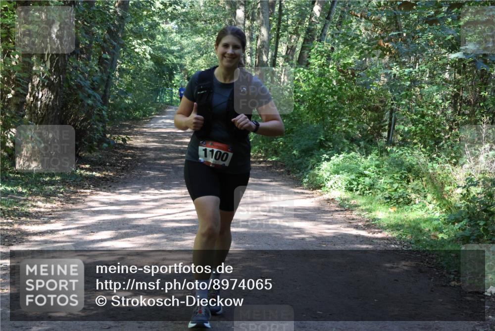 28.09.2025 - 33. Volkslauf durch das schöne Alstertal Strokosch-Dieckow http://msf.ph/oto/8974065 28.09.2025 12:34:46 Laufen 1100 meine-sportfotos.de