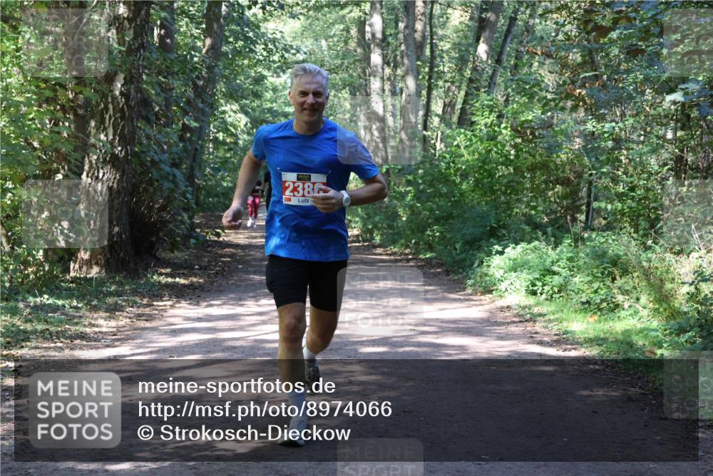 28.09.2025 - 33. Volkslauf durch das schöne Alstertal Strokosch-Dieckow http://msf.ph/oto/8974066 28.09.2025 12:35:15 Laufen 2386 meine-sportfotos.de
