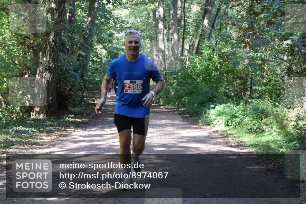 28.09.2025 - 33. Volkslauf durch das schöne Alstertal Strokosch-Dieckow http://msf.ph/oto/8974067 28.09.2025 12:35:15 Laufen 2386 meine-sportfotos.de