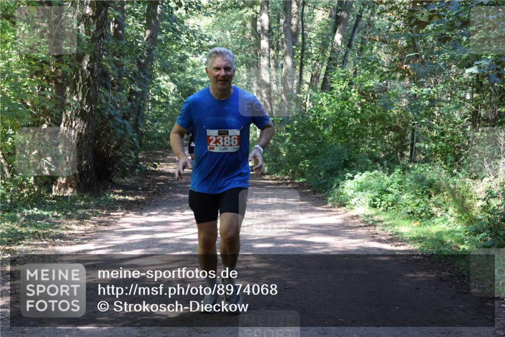 28.09.2025 - 33. Volkslauf durch das schöne Alstertal Strokosch-Dieckow http://msf.ph/oto/8974068 28.09.2025 12:35:15 Laufen 2386 meine-sportfotos.de