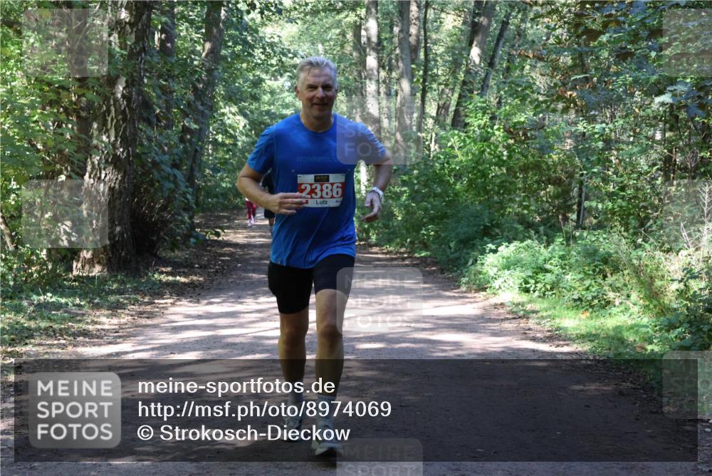 28.09.2025 - 33. Volkslauf durch das schöne Alstertal Strokosch-Dieckow http://msf.ph/oto/8974069 28.09.2025 12:35:15 Laufen 2386 meine-sportfotos.de