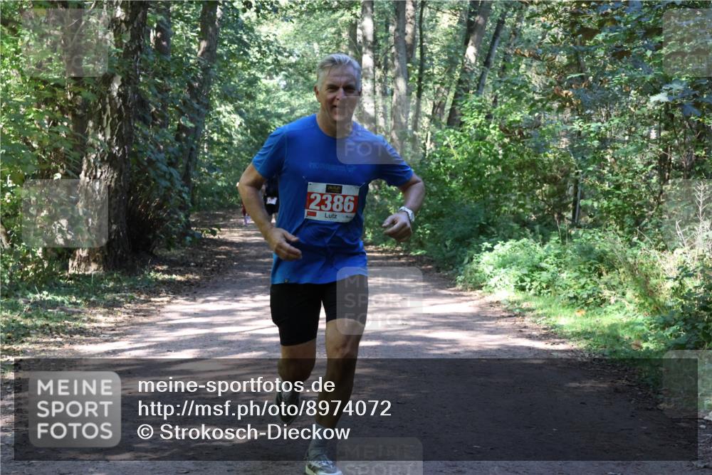 28.09.2025 - 33. Volkslauf durch das schöne Alstertal Strokosch-Dieckow http://msf.ph/oto/8974072 28.09.2025 12:35:15 Laufen 2386 meine-sportfotos.de