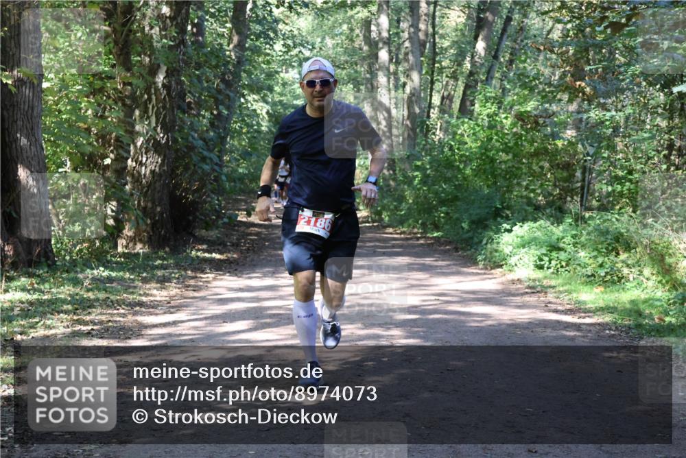 28.09.2025 - 33. Volkslauf durch das schöne Alstertal Strokosch-Dieckow http://msf.ph/oto/8974073 28.09.2025 12:35:23 Laufen 2186 meine-sportfotos.de