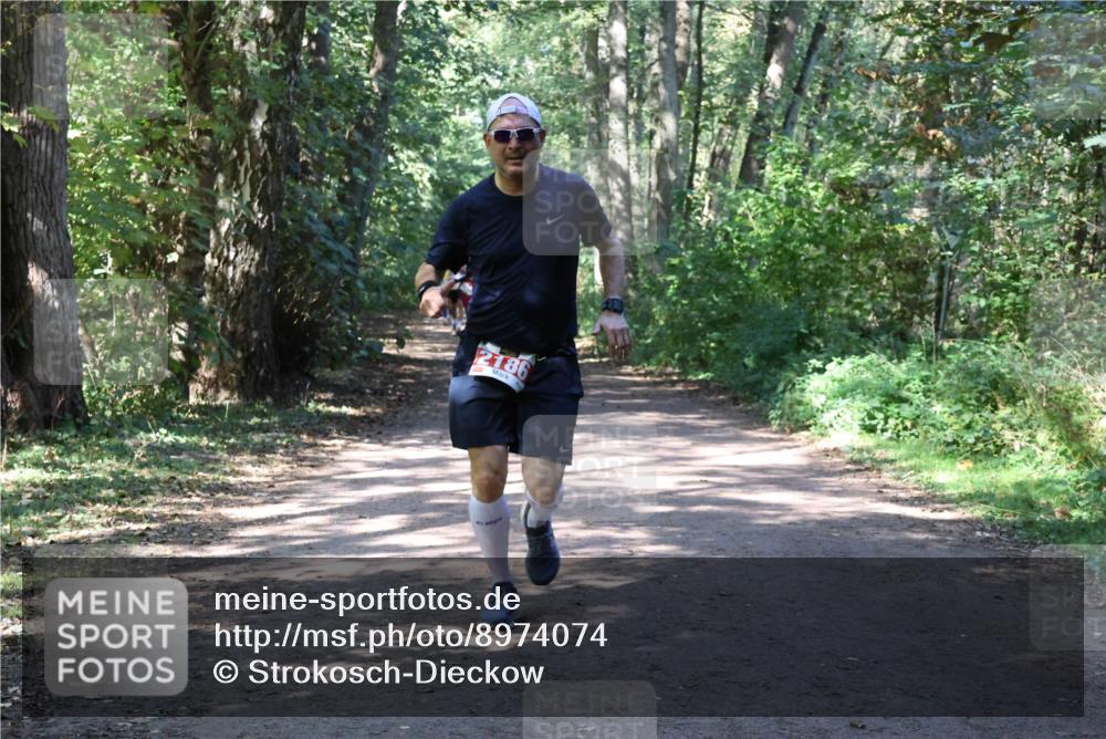 28.09.2025 - 33. Volkslauf durch das schöne Alstertal Strokosch-Dieckow http://msf.ph/oto/8974074 28.09.2025 12:35:23 Laufen 2186 meine-sportfotos.de