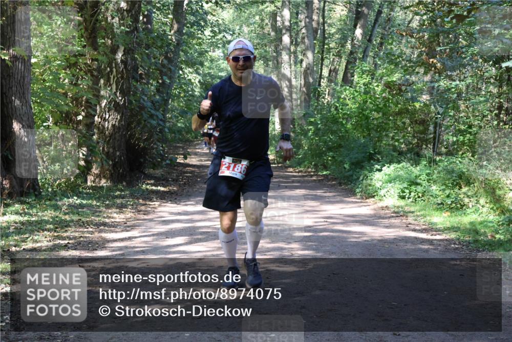 28.09.2025 - 33. Volkslauf durch das schöne Alstertal Strokosch-Dieckow http://msf.ph/oto/8974075 28.09.2025 12:35:23 Laufen 2186 meine-sportfotos.de
