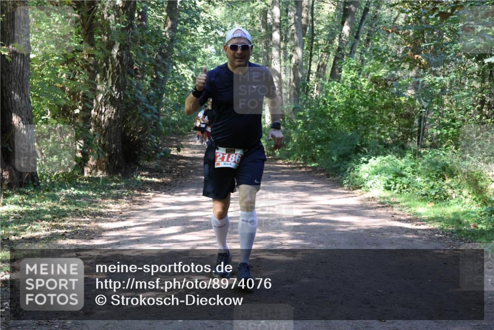 28.09.2025 - 33. Volkslauf durch das schöne Alstertal Strokosch-Dieckow http://msf.ph/oto/8974076 28.09.2025 12:35:23 Laufen 2186 meine-sportfotos.de