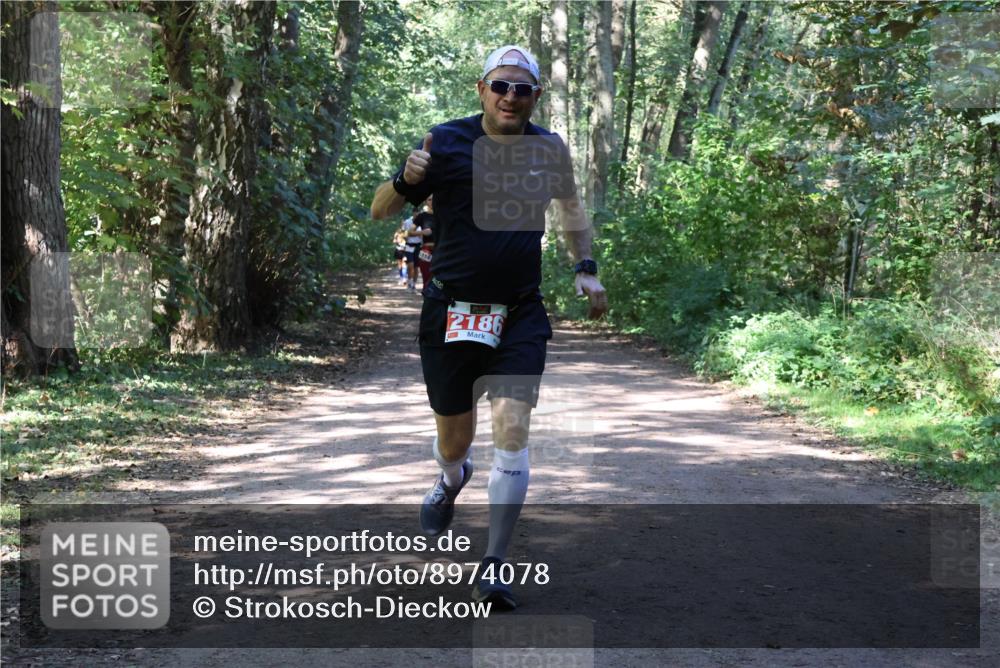 28.09.2025 - 33. Volkslauf durch das schöne Alstertal Strokosch-Dieckow http://msf.ph/oto/8974078 28.09.2025 12:35:23 Laufen 2186 meine-sportfotos.de