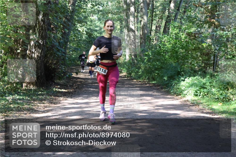 28.09.2025 - 33. Volkslauf durch das schöne Alstertal Strokosch-Dieckow http://msf.ph/oto/8974080 28.09.2025 12:35:30 Laufen 1118 meine-sportfotos.de