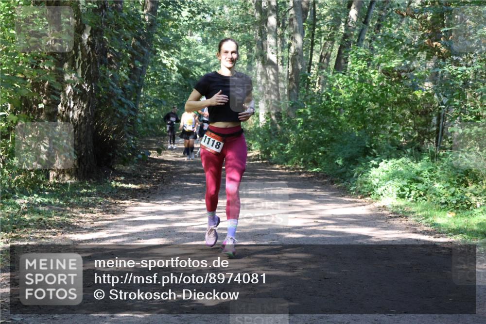 28.09.2025 - 33. Volkslauf durch das schöne Alstertal Strokosch-Dieckow http://msf.ph/oto/8974081 28.09.2025 12:35:30 Laufen 1118 meine-sportfotos.de