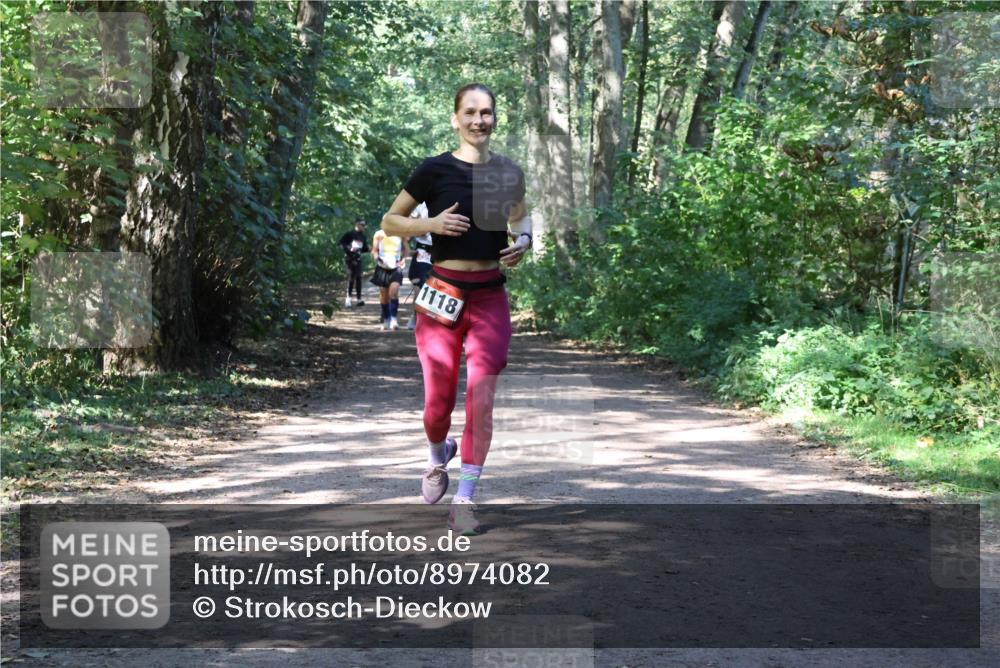 28.09.2025 - 33. Volkslauf durch das schöne Alstertal Strokosch-Dieckow http://msf.ph/oto/8974082 28.09.2025 12:35:30 Laufen 1118 meine-sportfotos.de