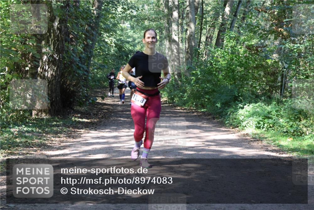 28.09.2025 - 33. Volkslauf durch das schöne Alstertal Strokosch-Dieckow http://msf.ph/oto/8974083 28.09.2025 12:35:30 Laufen 11, 8 meine-sportfotos.de