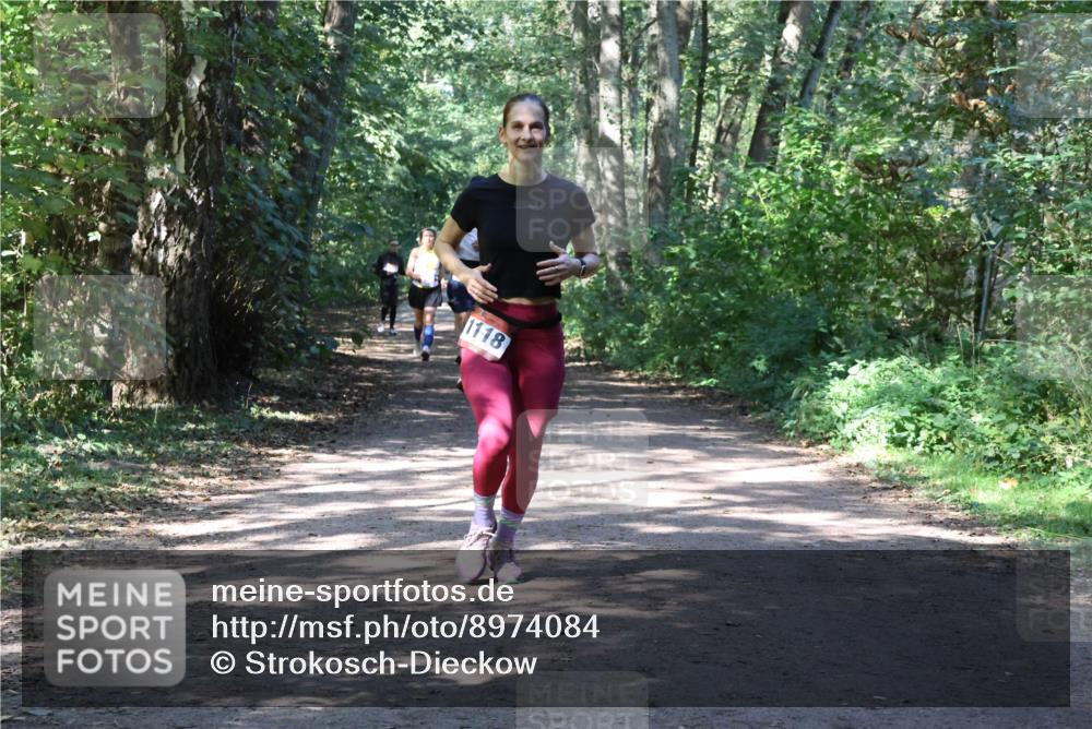 28.09.2025 - 33. Volkslauf durch das schöne Alstertal Strokosch-Dieckow http://msf.ph/oto/8974084 28.09.2025 12:35:30 Laufen 1118 meine-sportfotos.de