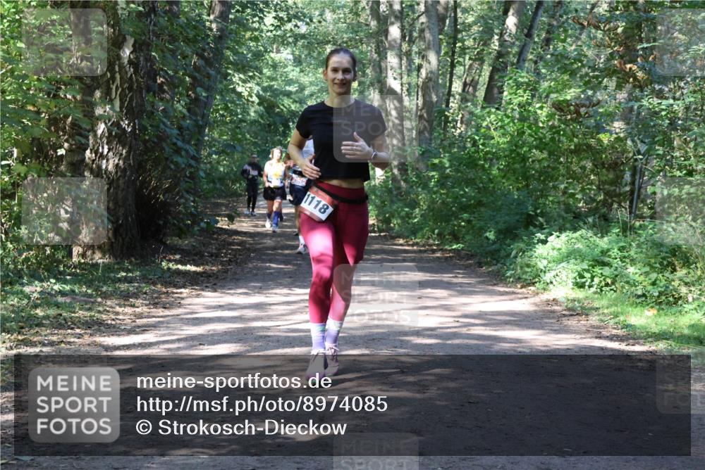 28.09.2025 - 33. Volkslauf durch das schöne Alstertal Strokosch-Dieckow http://msf.ph/oto/8974085 28.09.2025 12:35:31 Laufen 1118 meine-sportfotos.de