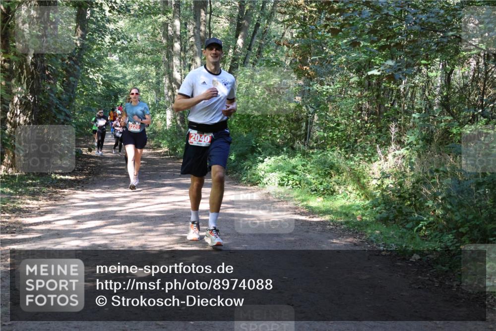28.09.2025 - 33. Volkslauf durch das schöne Alstertal Strokosch-Dieckow http://msf.ph/oto/8974088 28.09.2025 12:35:35 Laufen 2220, 2040 meine-sportfotos.de